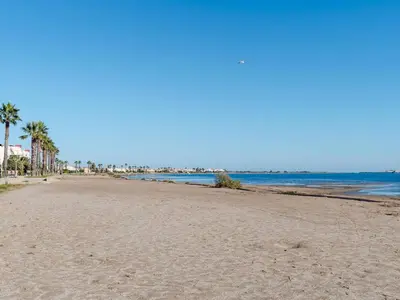 a sandy beach with palm trees and the ocean at Appartement lumineux à Gruissan, 2 chambres, proche plage, parking sécurisé, mini-box WIFI, non-fumeur - FR-1-409A-15 in Gruissan