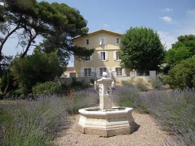 a stone birdbath in a garden in front of a house at Wellington Guest Room in the heart of the vineyard no1205 in Badens