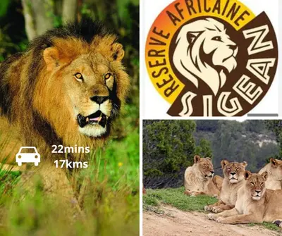 two pictures of a lion and a lion logo at L'appart cinéma Centre ville Narbonne in Narbonne